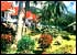 Click here for details.