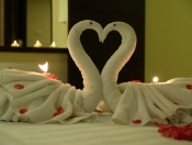 Duangjitt Resort - Honeymoon (3)