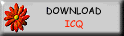 icq.com